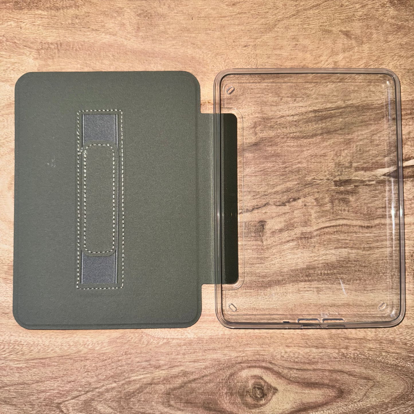 Romantasy Vibes Kindle Case